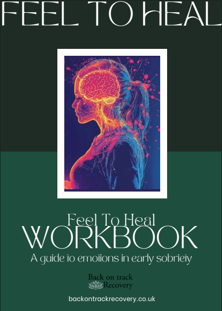 FEEL TO HEAL Workbook